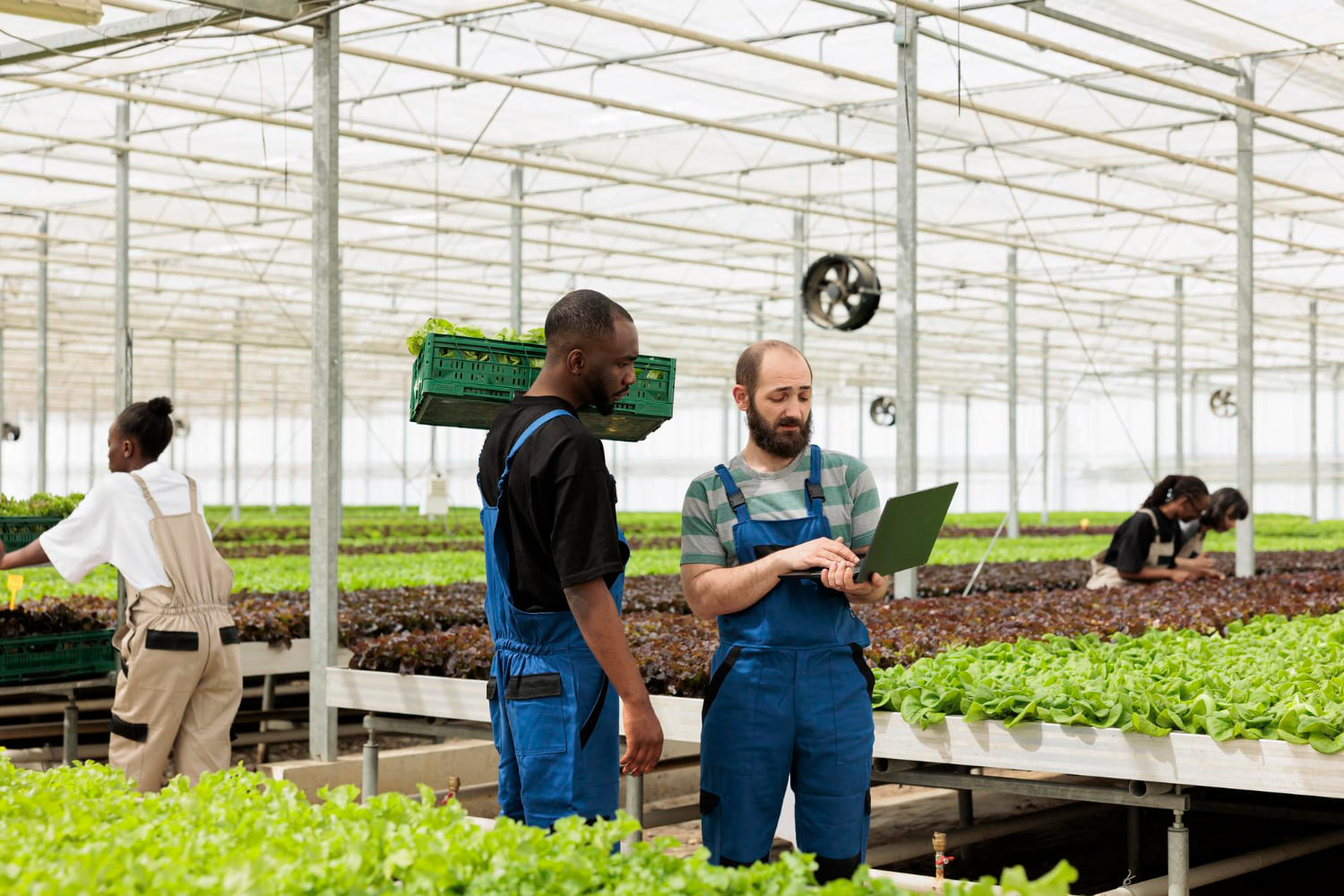 Turn field observations into actionable agricultural intelligence.
